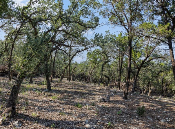 601 Mount Olive School Rd, Wimberley, TX 78676