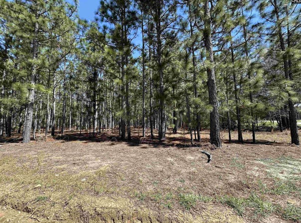 223 Mimosa Drive, Gaston, SC 29053