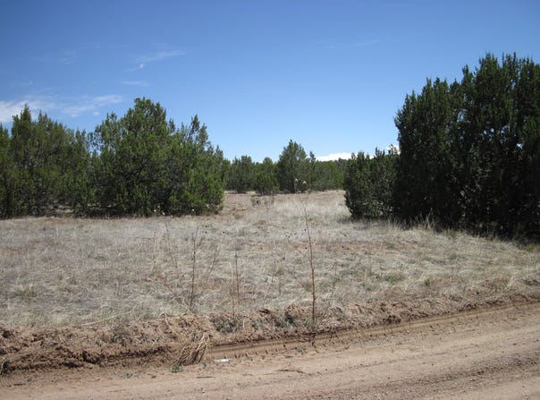 110 Jesse James Road, Edgewood, NM 87015