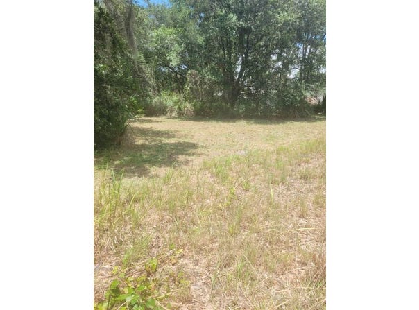 6631 MERLE Street, MULBERRY, FL 33860