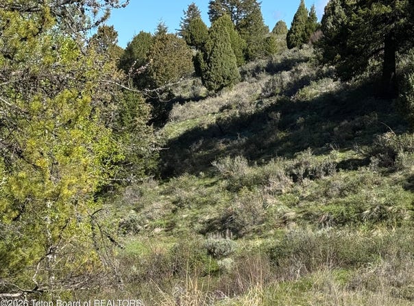 59 B4 CUTTHROAT RUN, Irwin, ID 83428