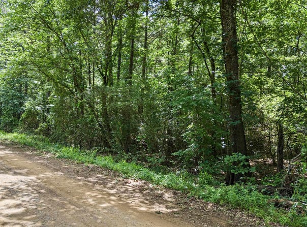 E Cedar Piney Road, Havana, AR 72842