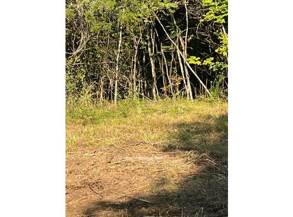 420 Blacks Ferry Road, Burkesville, KY 42717