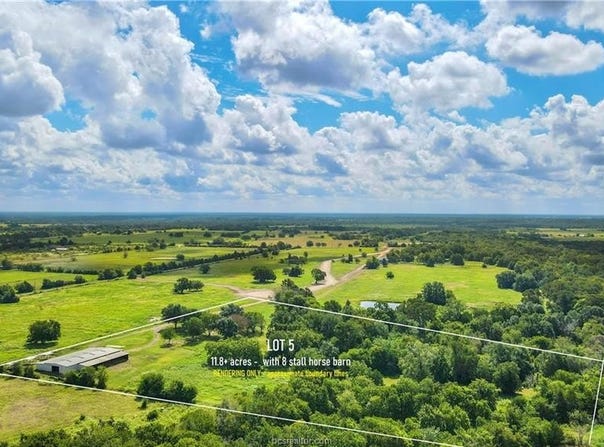 Hudson Farms Road - Tract 5 (+/-11.8 acres), Franklin, TX 77859