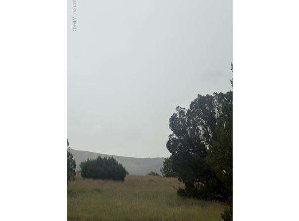 3 Littler Drive, Concho, AZ 85924