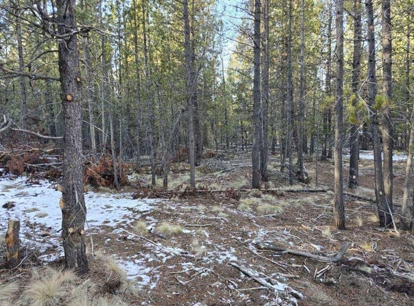 16852 ELSINORE RD, Bend, OR 97707