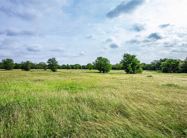 Gholson Road, Waco, TX 76705