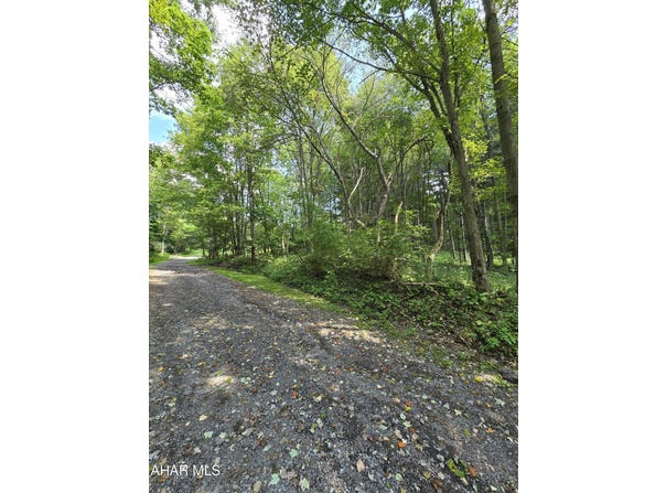 Strawberry Road, Lilly, PA 15938