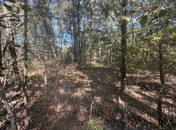 DOLL CONWAY Rd, Clifton, TN 38425