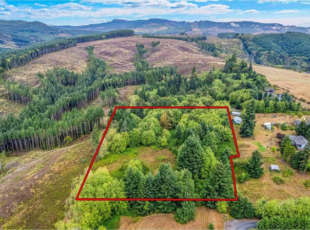 176 FLYAWAY Rd, CastleRock, WA 98611