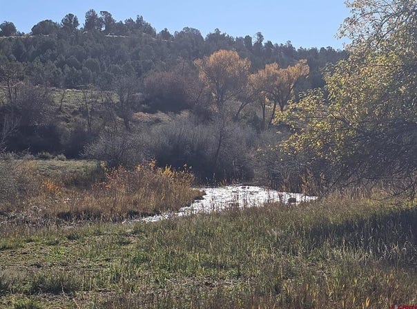 1308 Wrangler Way, Durango, CO 81303