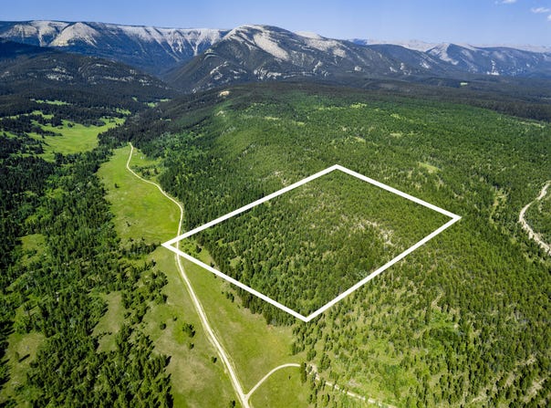 NHN Timber Creek Road, Judith Gap, MT 59453