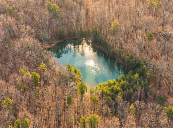 Bob Cat Trail, Dunlap, TN 37327