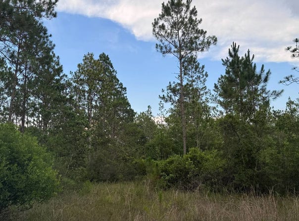 Poppy Drive, Moss Point, MS 39562