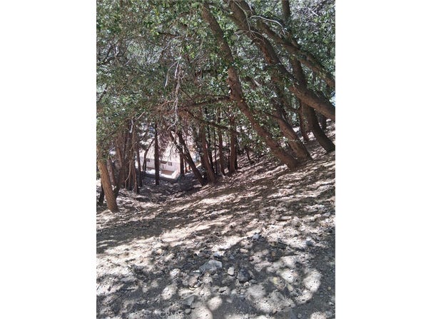 10 Delle, Crestline, CA 92325