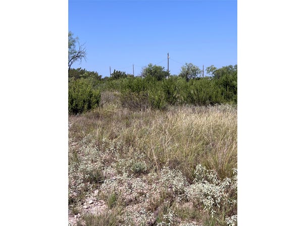 21008 Frank Road, Paint Rock, TX 76866