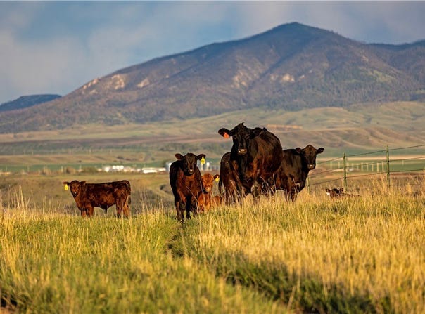 204 Husted Road, Lewistown, MT 59457