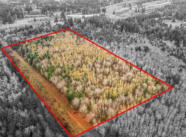 Old Rainier Rd, Rainier, OR 97048