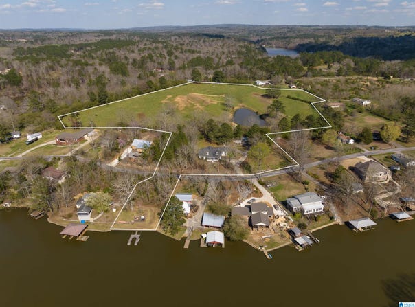 401 LAKESHORE LANE, ONEONTA, AL 35121