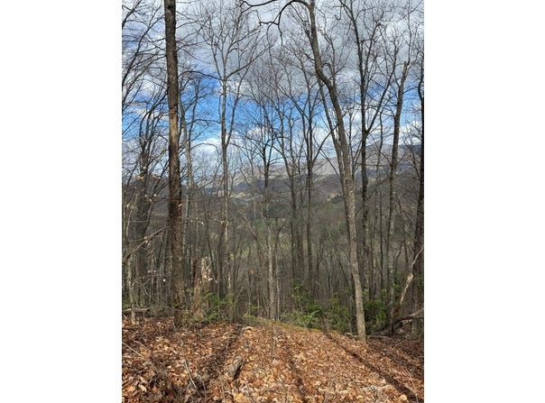 E Wabash Dr, Sylva, NC 28779