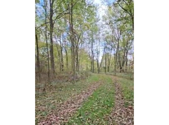 37 Risch Road, Webberville Vlg, MI 48892