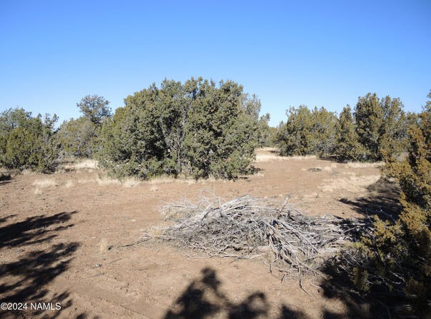 627 E Hualpai Trail, Williams, AZ 86046