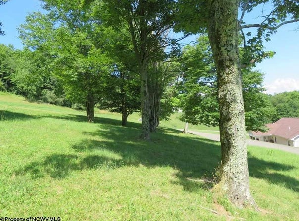 Doe Lane, Buckhannon, WV 26201
