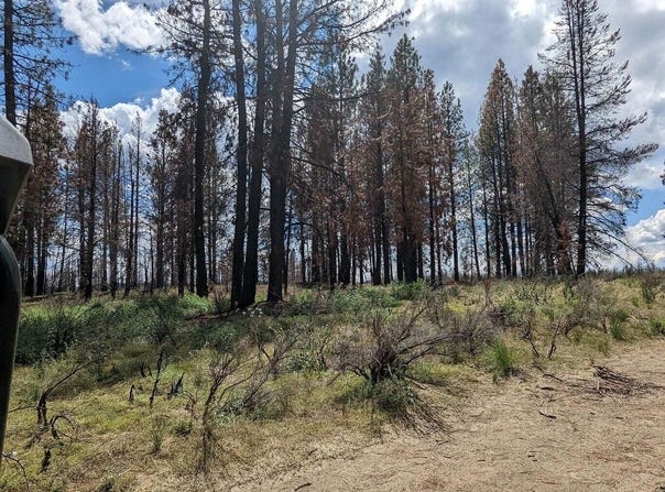 Bull Pine Road, Bly, OR 97622