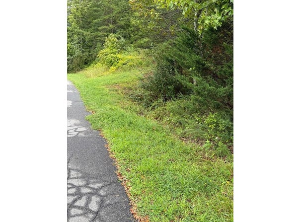 Teresa Lane, Cloverdale, VA 24019