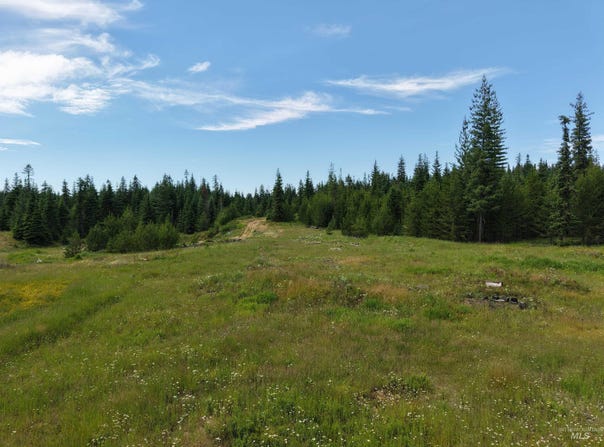 Highway 11, Weippe, ID 83553