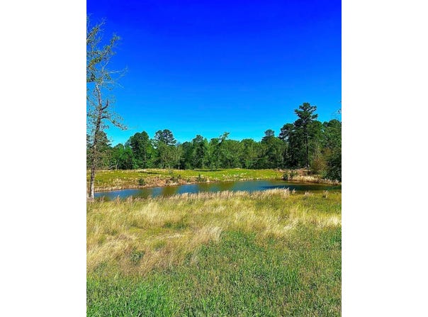 868 County Road 2920, Alba, TX 75410