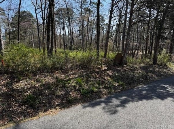 Silagy lot: 54, Greers Ferry, AR 72067