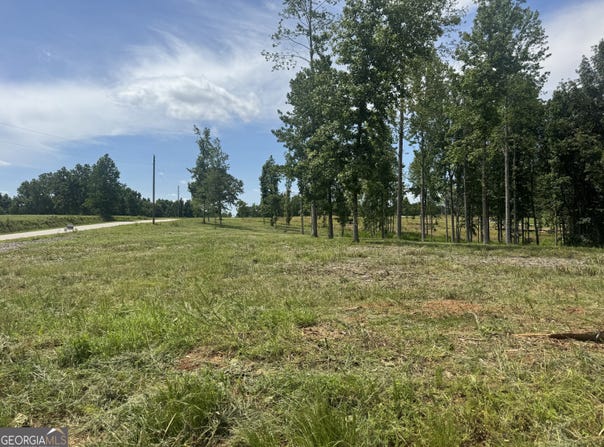 Happy Hollow Road lot: 4, Roopville, GA 30170
