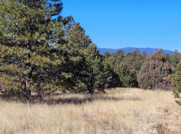 59 Silver Feather Trail, Pecos, NM 87552