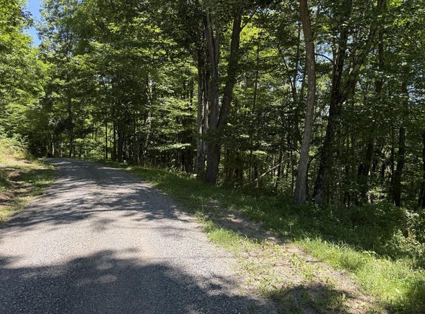 9 Lower Cherry Grove, Slatyfork, WV 26291