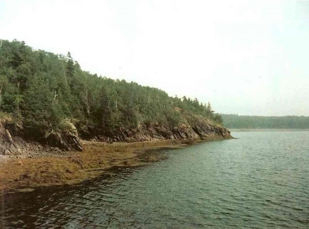Mill Creek Lane, Lubec, ME 04652