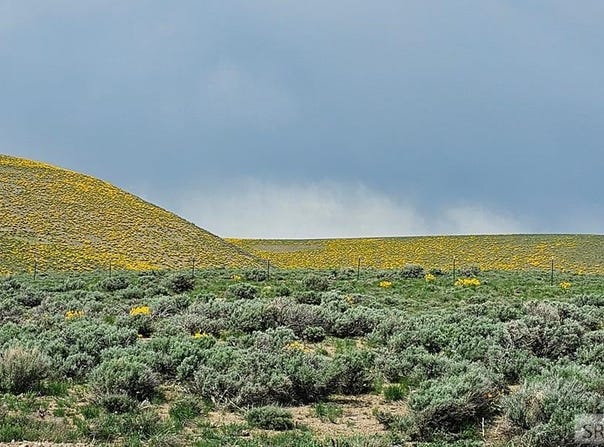 1981 Blizzard Mountain Road, Arco, ID 83213
