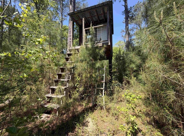 Leon Tower Rd, Dozier, AL 36028
