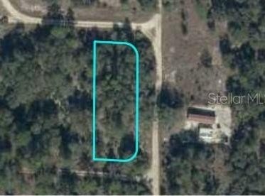 NE 134TH TERRACE, BRONSON, FL 32621