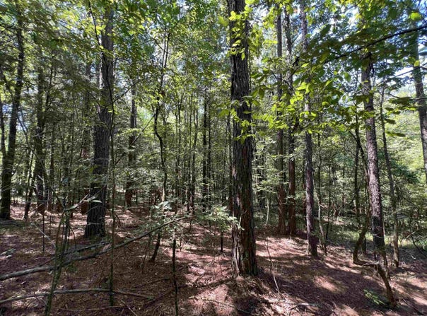 Davidson Campground Rd, Okolona, AR 71962