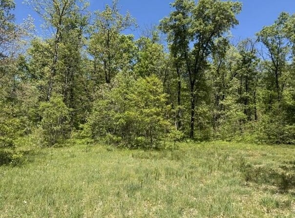 Parcel B W USFS 5196, Baldwin, MI 49304