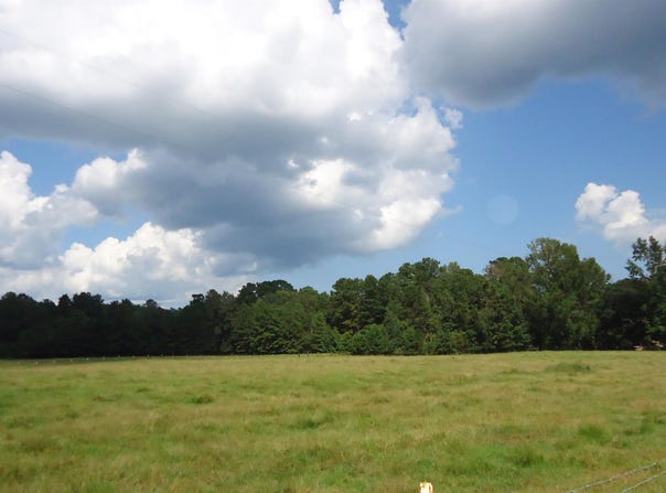 3334 Housen Hollow, Bronson, TX 75930
