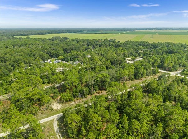 NE 156TH CT, WILLISTON, FL 32696