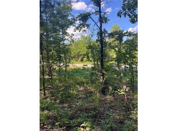 Tract 4 SE 1083 Rd AVE, Red Oak, OK 74563