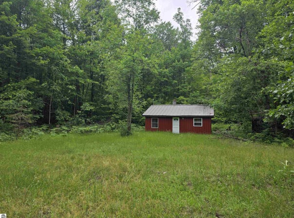 6300 Kerr Trail, Hale, MI 48739