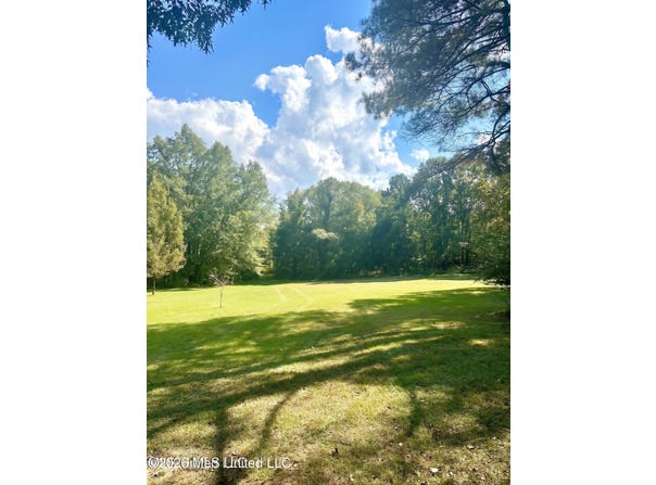 4811 Holcomb-sweethome Road, Holcomb, MS 38940