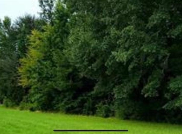 2 Clairvaux Drive, Gadsden, AL 35901