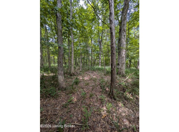 Valley Ln, Shepherdsville, KY 40165