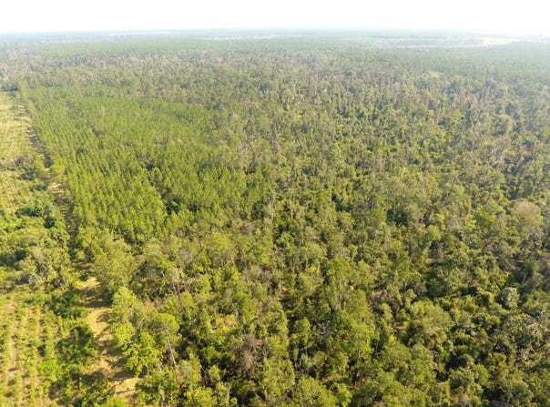 Camanche Road, Ragley, LA 70657