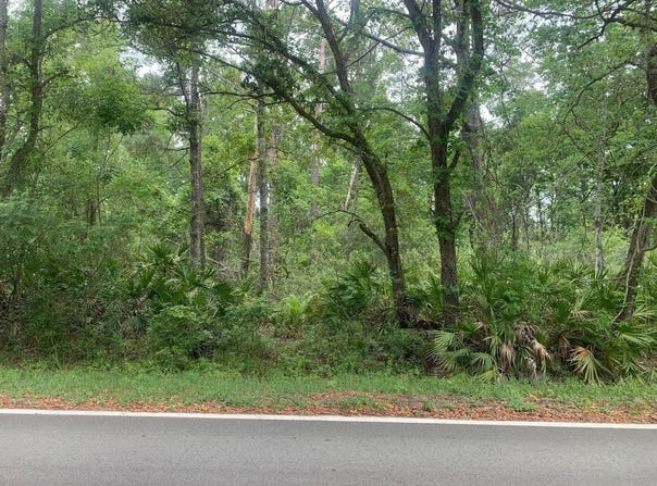 Theresa Avenue, Interlachen, FL 32148